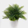 Artificial Table Plants 28*28*32cm Pteridophyte in  PP pot GS-79925013 2025SEP YeahFlower is one of Chinese leading OEM manufacturers and exporters , supplying the silk flowers, wholesale artificial trees