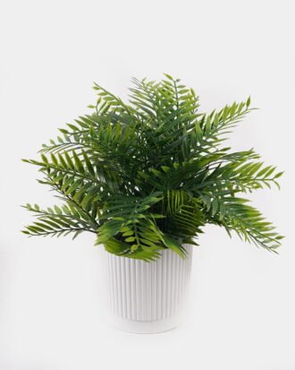 Artificial Table Plants 28*28*32cm Pteridophyte in PP pot GS-79925013 2025SEP YeahFlower is one of Chinese leading OEM manufacturers and exporters , supplying the silk flowers, wholesale artificial trees Artificial Table Plants 28*28*32cm Pteridophyte in PP pot GS-79925013 2025SEP YeahFlower is one of Chinese leading OEM manufacturers and exporters , supplying the silk flowers, wholesale artificial trees