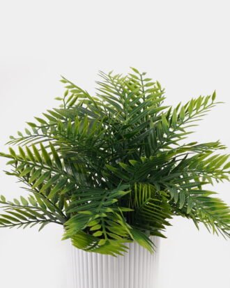 Artificial Table Plants 28*28*32cm Pteridophyte in PP pot GS-79925013 2025SEP YeahFlower is one of Chinese leading OEM manufacturers and exporters , supplying the silk flowers, wholesale artificial trees Artificial Table Plants 28*28*32cm Pteridophyte in PP pot GS-79925013 2025SEP YeahFlower is one of Chinese leading OEM manufacturers and exporters , supplying the silk flowers, wholesale artificial trees