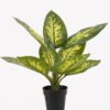 Artificial Table Plants 34*34*42cm Rohdea japonica in PP pot/9 lvs GS-73225001-G5 2025SEP YeahFlower is one of Chinese leading OEM manufacturers and exporters , supplying the silk flowers, wholesale artificial trees