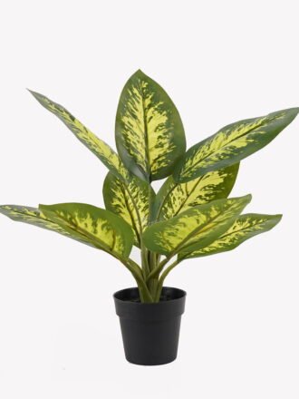Artificial Table Plants 34*34*42cm Rohdea japonica in PP pot/9 lvs GS-73225001 2025SEP 3,000+ sqm showroom with thousands of artificial flowers, plants & trees ready for global sourcing.