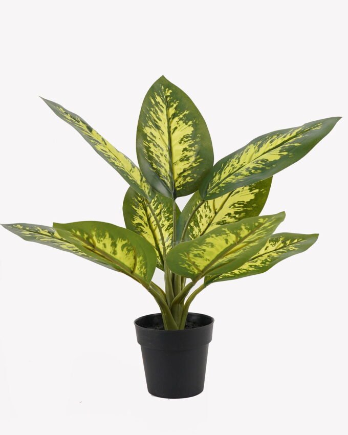 Artificial Table Plants 34*34*42cm Rohdea japonica in PP pot/9 lvs GS-73225001-G5 2025SEP YeahFlower is one of Chinese leading OEM manufacturers and exporters , supplying the silk flowers, wholesale artificial trees