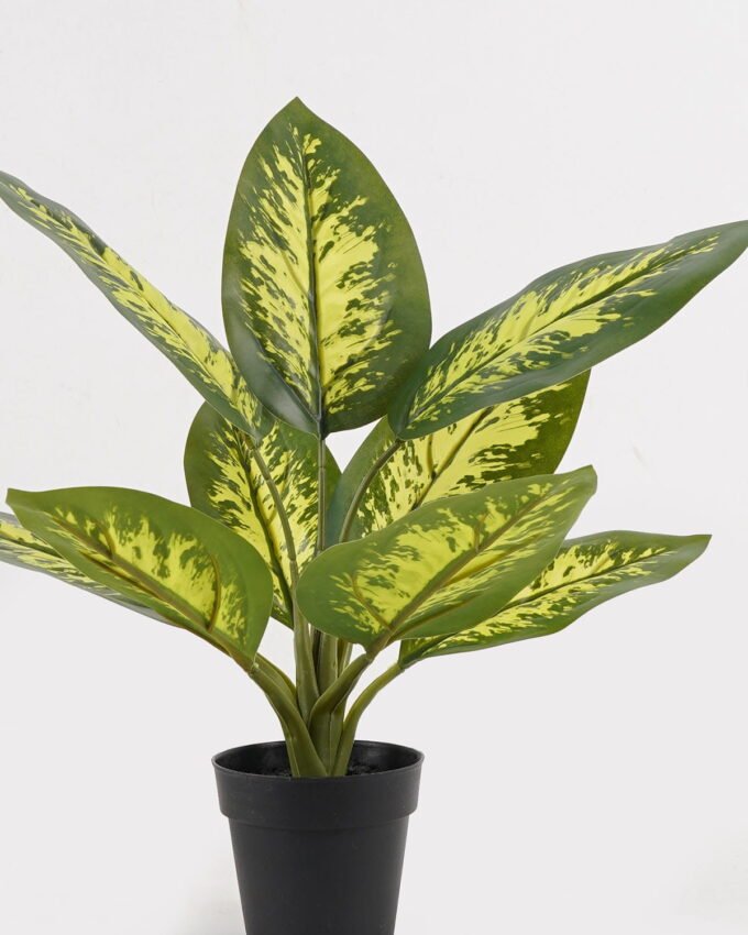 Artificial Table Plants 34*34*42cm Rohdea japonica in PP pot/9 lvs GS-73225001-G5 2025SEP YeahFlower is one of Chinese leading OEM manufacturers and exporters , supplying the silk flowers, wholesale artificial trees