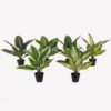 Artificial Table Plants Rohdea japonica in PP pot 9 lvs GS-73225001_2 Artificial Table Plants 34*34*42cm Rohdea japonica in PP pot/9 lvs GS-73225001 2025SEP YeahFlower is one of Chinese leading OEM manufacturers and exporters , supplying the silk flowers, wholesale artificial trees