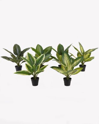 Artificial Table Plants 34*34*42cm Rohdea japonica in PP pot/9 lvs GS-73225001