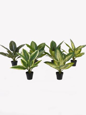 Artificial Tree 17*17*86cm Nephthytis *3 bush GS-72825008 2025SEP 3,000+ sqm showroom with thousands of artificial flowers, plants & trees ready for global sourcing.