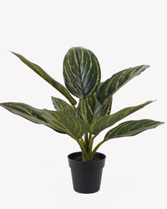 Artificial Table Plants Rohdea japonica in PP pot 9 lvs GS-73225001_6 Artificial Table Plants 34*34*42cm Rohdea japonica in PP pot/9 lvs GS-73225001 2025SEP YeahFlower is one of Chinese leading OEM manufacturers and exporters , supplying the silk flowers, wholesale artificial trees