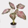 Artificial Table Plants 52*46*55cm Syngonium podophyllum in PP pot GS-03325021-G4 2025JUL YeahFlower is one of Chinese leading OEM manufacturers and exporters , supplying the silk flowers, wholesale artificial trees