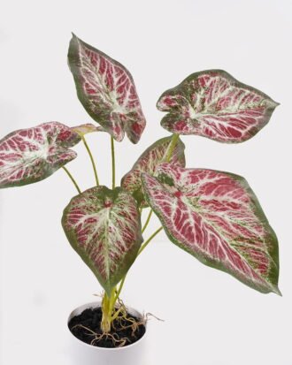 Artificial Table Plants 52*46*55cm Syngonium podophyllum in PP pot GS-03325021-G4 2025JUL YeahFlower is one of Chinese leading OEM manufacturers and exporters , supplying the silk flowers, wholesale artificial trees