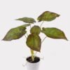 Artificial Table Plants 52*46*55cm Syngonium podophyllum in PP pot GS-03325021 2025JUL YeahFlower is one of Chinese leading OEM manufacturers and exporters , supplying the silk flowers, wholesale artificial trees