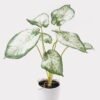 Artificial Table Plants 52*46*55cm Syngonium podophyllum in PP pot GS-03325021 2025JUL YeahFlower is one of Chinese leading OEM manufacturers and exporters , supplying the silk flowers, wholesale artificial trees
