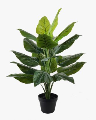 Artificial Tree 90cm Leaf in PP pot/20 lvs GS-30424081 2025JUL YeahFlower is one of Chinese leading OEM manufacturers and exporters , supplying the silk flowers, wholesale artificial trees Artificial Tree 90cm Leaf in PP pot/20 lvs GS-30424081 2025JUL YeahFlower is one of Chinese leading OEM manufacturers and exporters , supplying the silk flowers, wholesale artificial trees