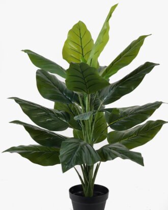 Artificial Tree 90cm Leaf in PP pot/20 lvs GS-30424081 2025JUL YeahFlower is one of Chinese leading OEM manufacturers and exporters , supplying the silk flowers, wholesale artificial trees Artificial Tree 90cm Leaf in PP pot/20 lvs GS-30424081 2025JUL YeahFlower is one of Chinese leading OEM manufacturers and exporters , supplying the silk flowers, wholesale artificial trees