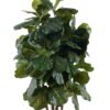 Artificial Tree Adenocaulon himalaicum Edgew 6 in PP pot 1360 lvs GS-30625004_5 Artificial Tree 85*85*120cm Adenocaulon himalaicum Edgew *6 in PP pot/1360 lvs GS-30625004 2025JUL YeahFlower is one of Chinese leading OEM manufacturers and exporters , supplying the silk flowers, wholesale artificial trees