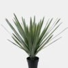 Artificial Tree 50*50*80cm Aloe vera in PP pot/11 lvs GS-41925046 2025AUG YeahFlower is one of Chinese leading OEM manufacturers and exporters , supplying the silk flowers, wholesale artificial trees