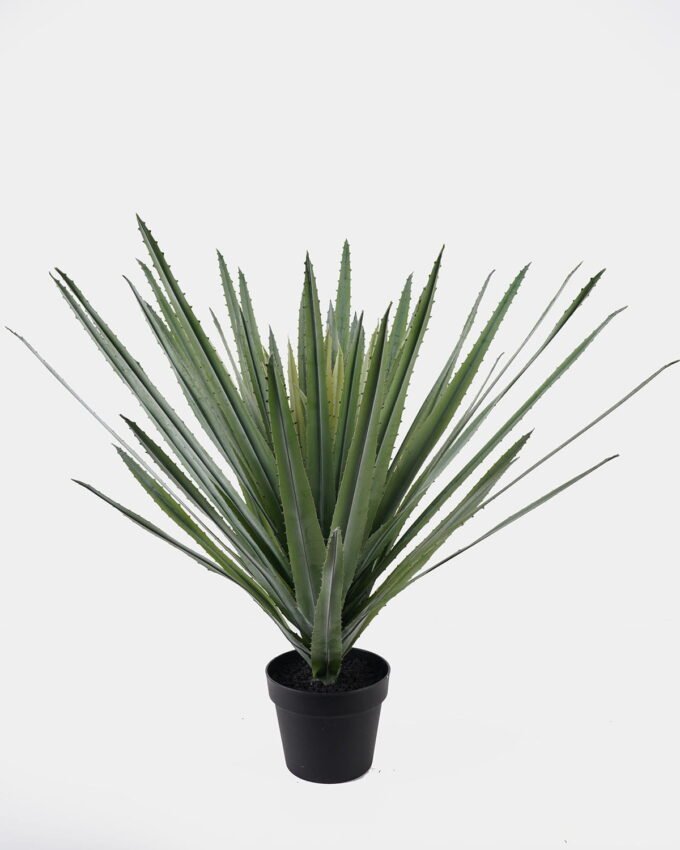 Artificial Tree 50*50*80cm Aloe vera in PP pot/11 lvs GS-41925046 2025AUG YeahFlower is one of Chinese leading OEM manufacturers and exporters , supplying the silk flowers, wholesale artificial trees