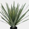 Artificial Tree 50*50*80cm Aloe vera in PP pot/11 lvs GS-41925046 2025AUG YeahFlower is one of Chinese leading OEM manufacturers and exporters , supplying the silk flowers, wholesale artificial trees