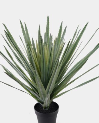 Artificial Tree 50*50*80cm Aloe vera in PP pot/11 lvs GS-41925046 2025AUG YeahFlower is one of Chinese leading OEM manufacturers and exporters , supplying the silk flowers, wholesale artificial trees