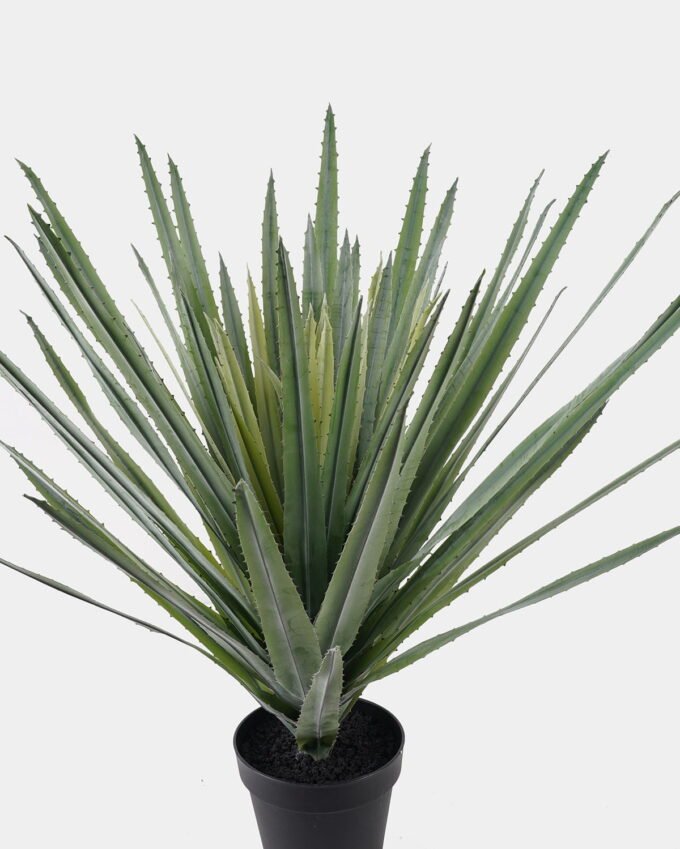 Artificial Tree 50*50*80cm Aloe vera in PP pot/11 lvs GS-41925046 2025AUG YeahFlower is one of Chinese leading OEM manufacturers and exporters , supplying the silk flowers, wholesale artificial trees