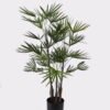 Artificial Tree 45*45*90cm Bamboo palm *3 in PP pot/34 lvs GS-43425002 2025AUG YeahFlower is one of Chinese leading OEM manufacturers and exporters , supplying the silk flowers, wholesale artificial trees