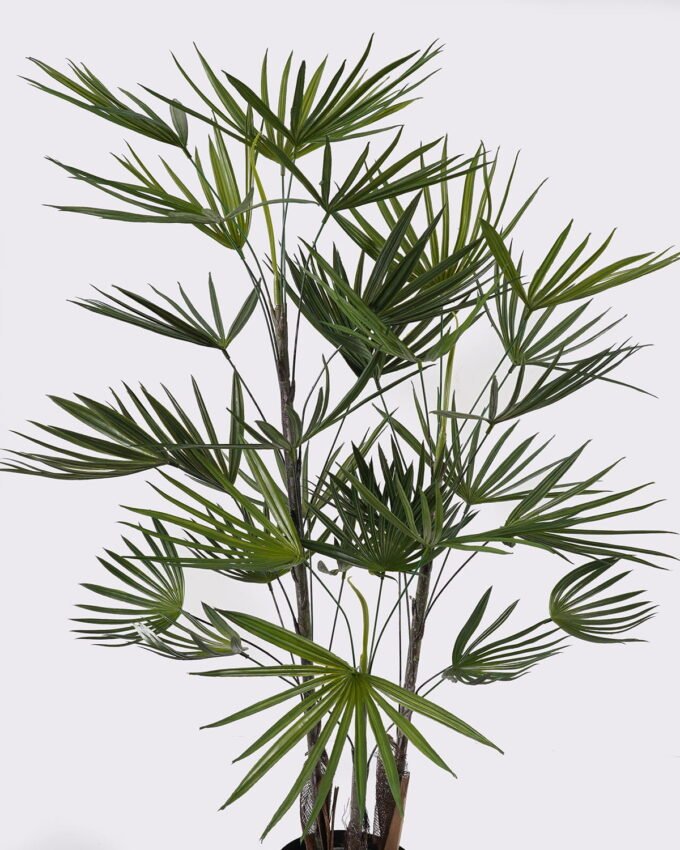 Artificial Tree 45*45*90cm Bamboo palm *3 in PP pot/34 lvs GS-43425002 2025AUG YeahFlower is one of Chinese leading OEM manufacturers and exporters , supplying the silk flowers, wholesale artificial trees