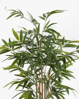 Artificial Tree 77*77*120cm Bamboo tree *5 in PP pot/442 lvs GS-30425004 2025JUL YeahFlower is one of Chinese leading OEM manufacturers and exporters , supplying the silk flowers, wholesale artificial trees Artificial Tree 77*77*120cm Bamboo tree *5 in PP pot/442 lvs GS-30425004 2025JUL YeahFlower is one of Chinese leading OEM manufacturers and exporters , supplying the silk flowers, wholesale artificial trees