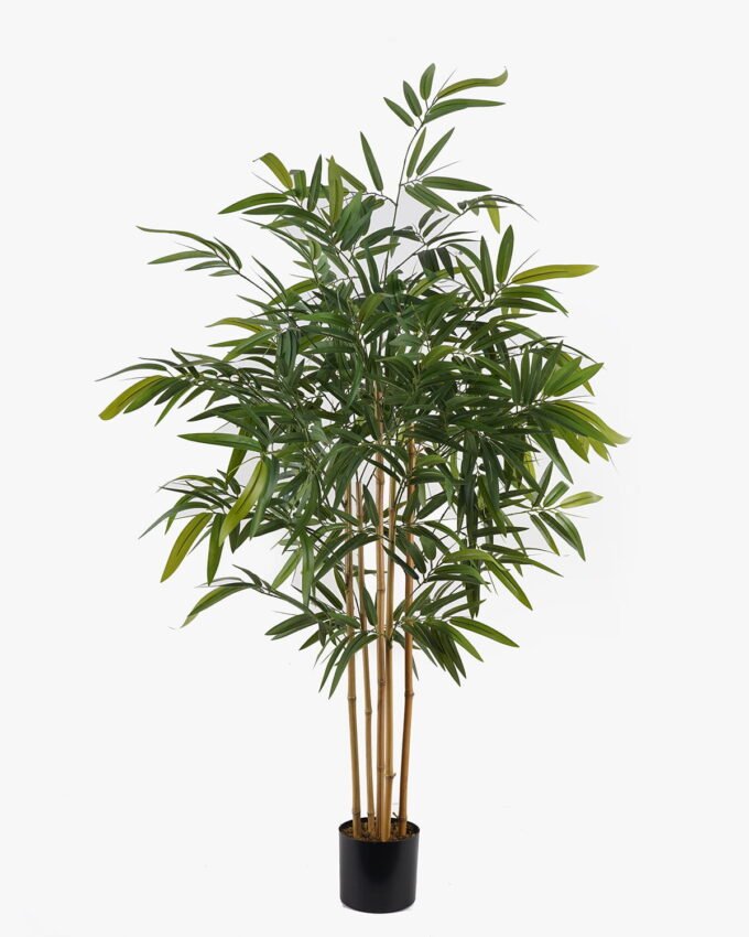 Artificial Tree 87*87*150cm Bamboo tree *5 in PP pot/680 lvs GS-30425005 2025JUL YeahFlower is one of Chinese leading OEM manufacturers and exporters , supplying the silk flowers, wholesale artificial trees