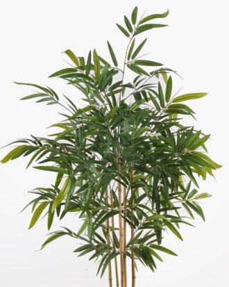 Artificial Tree 87*87*150cm Bamboo tree *5 in PP pot/680 lvs GS-30425005 2025JUL YeahFlower is one of Chinese leading OEM manufacturers and exporters , supplying the silk flowers, wholesale artificial trees Artificial Tree 87*87*150cm Bamboo tree *5 in PP pot/680 lvs GS-30425005 2025JUL YeahFlower is one of Chinese leading OEM manufacturers and exporters , supplying the silk flowers, wholesale artificial trees