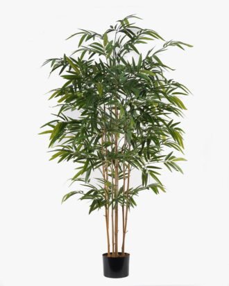 Artificial Tree 108*108*210cm Bamboo tree *7 in PP pot/1107 lvs GS-30425007 2025JUL YeahFlower is one of Chinese leading OEM manufacturers and exporters , supplying the silk flowers, wholesale artificial trees Artificial Tree 108*108*210cm Bamboo tree *7 in PP pot/1107 lvs GS-30425007 2025JUL YeahFlower is one of Chinese leading OEM manufacturers and exporters , supplying the silk flowers, wholesale artificial trees