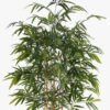 Artificial Tree Bamboo tree 7 in PP pot 1107 lvs GS-30425007_5 Artificial Tree 108*108*210cm Bamboo tree *7 in PP pot/1107 lvs GS-30425007 2025JUL YeahFlower is one of Chinese leading OEM manufacturers and exporters , supplying the silk flowers, wholesale artificial trees