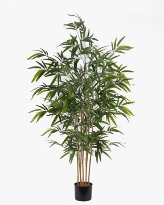 Artificial Tree 100*100*180cm Bamboo tree *7 in PP pot/833 lvs GS-30425006 2025JUL YeahFlower is one of Chinese leading OEM manufacturers and exporters , supplying the silk flowers, wholesale artificial trees Artificial Tree 100*100*180cm Bamboo tree *7 in PP pot/833 lvs GS-30425006 2025JUL YeahFlower is one of Chinese leading OEM manufacturers and exporters , supplying the silk flowers, wholesale artificial trees