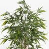Artificial Tree Bamboo tree 7 in PP pot 833 lvs GS-30425006_7 Artificial Tree 100*100*180cm Bamboo tree *7 in PP pot/833 lvs GS-30425006 2025JUL YeahFlower is one of Chinese leading OEM manufacturers and exporters , supplying the silk flowers, wholesale artificial trees