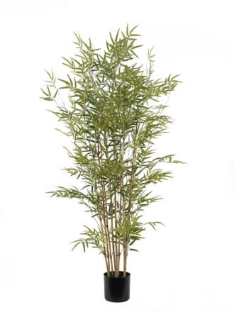 Artificial Table Plants 22*22*32cm  Pteridophyte  in  PP pot GS-79925016 2025SEP 3,000+ sqm showroom with thousands of artificial flowers, plants & trees ready for global sourcing.