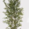 Artificial Tree 100*100*260cm Bamboo tree *9 in PP pot/3020 lvs GS-80025004 2025SEP YeahFlower is one of Chinese leading OEM manufacturers and exporters , supplying the silk flowers, wholesale artificial trees