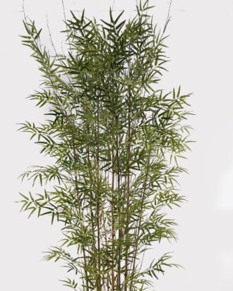 Artificial Tree 100*100*260cm Bamboo tree *9 in PP pot/3020 lvs GS-80025004 2025SEP YeahFlower is one of Chinese leading OEM manufacturers and exporters , supplying the silk flowers, wholesale artificial trees