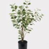Artificial Tree 30*30*60cm Banyan tree in PP pot/168 lvs GS-13825011 2025JUL YeahFlower is one of Chinese leading OEM manufacturers and exporters , supplying the silk flowers, wholesale artificial trees