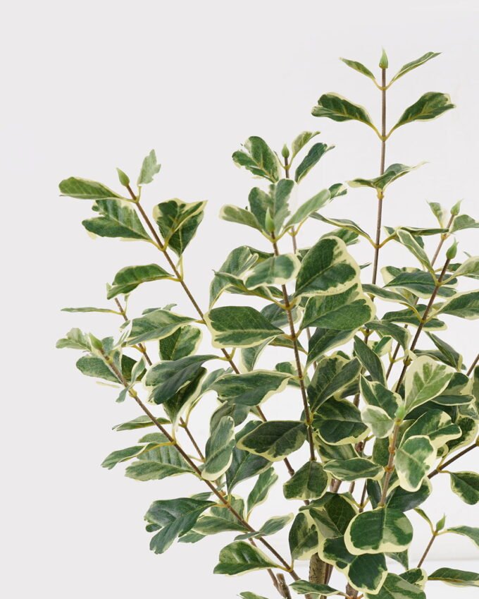 Artificial Tree 30*30*60cm Banyan tree in PP pot/168 lvs GS-13825011 2025JUL YeahFlower is one of Chinese leading OEM manufacturers and exporters , supplying the silk flowers, wholesale artificial trees