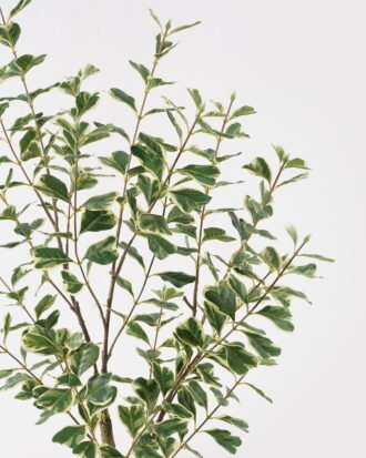 Artificial Tree 35*35*90cm Banyan tree in PP pot/252 lvs GS-13825012 2025JUL YeahFlower is one of Chinese leading OEM manufacturers and exporters , supplying the silk flowers, wholesale artificial trees