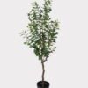 Artificial Tree 45*45*120cm Banyan tree in PP pot/420 lvs GS-13825013 2025JUL YeahFlower is one of Chinese leading OEM manufacturers and exporters , supplying the silk flowers, wholesale artificial trees