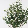 Artificial Tree 45*45*120cm Banyan tree in PP pot/504 lvs GS-13825014 2025JUL YeahFlower is one of Chinese leading OEM manufacturers and exporters , supplying the silk flowers, wholesale artificial trees