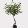 Artificial Tree 50*50*100cm Banyan tree in PP pot/528 lvs GS-13825010 2025JUL YeahFlower is one of Chinese leading OEM manufacturers and exporters , supplying the silk flowers, wholesale artificial trees