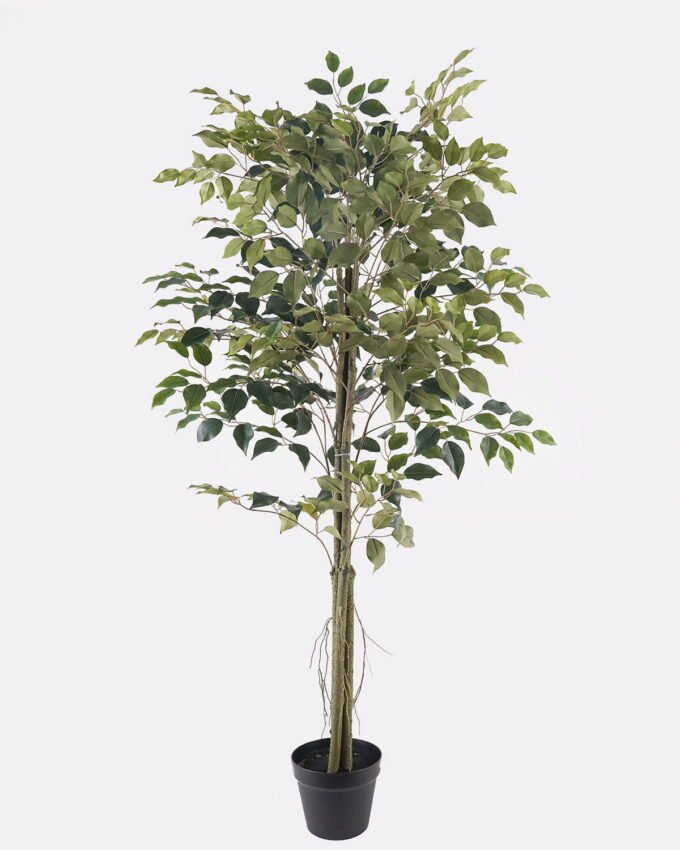 Artificial Tree 60*60*150cm Banyan tree in PP pot/630 lvs GS-13825017 2025JUL YeahFlower is one of Chinese leading OEM manufacturers and exporters , supplying the silk flowers, wholesale artificial trees