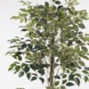Artificial Tree 60*60*150cm Banyan tree in PP pot/630 lvs GS-13825017 2025JUL YeahFlower is one of Chinese leading OEM manufacturers and exporters , supplying the silk flowers, wholesale artificial trees
