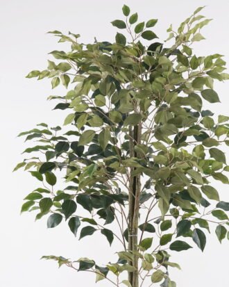 Artificial Tree 60*60*150cm Banyan tree in PP pot/630 lvs GS-13825017 2025JUL YeahFlower is one of Chinese leading OEM manufacturers and exporters , supplying the silk flowers, wholesale artificial trees