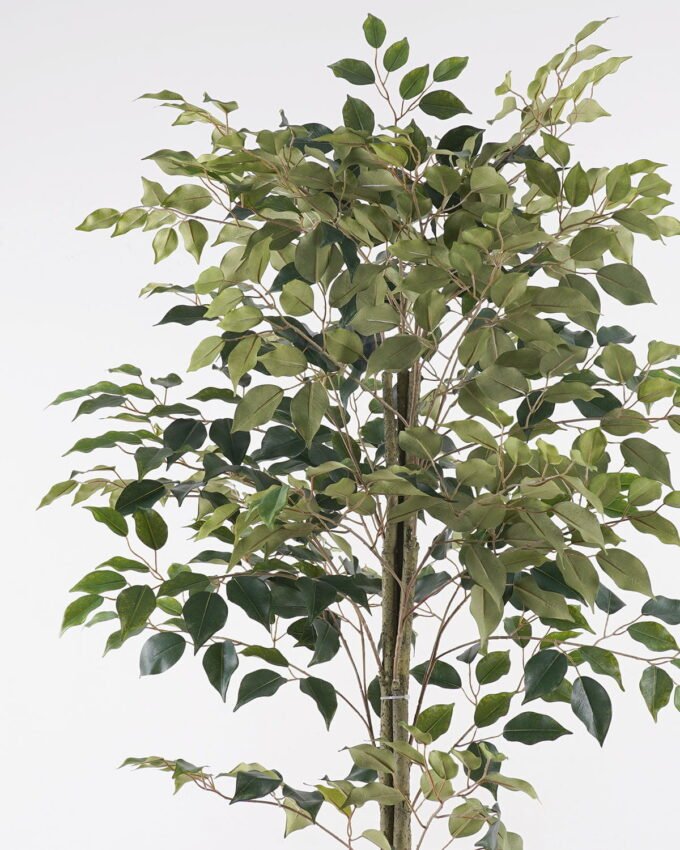 Artificial Tree 60*60*150cm Banyan tree in PP pot/630 lvs GS-13825017 2025JUL YeahFlower is one of Chinese leading OEM manufacturers and exporters , supplying the silk flowers, wholesale artificial trees