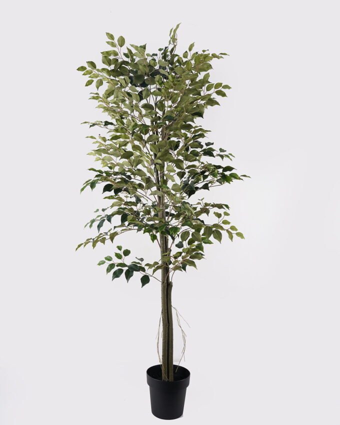 Artificial Tree 70*70*180cm Banyan tree in PP pot/810 lvs GS-13825018 2025JUL YeahFlower is one of Chinese leading OEM manufacturers and exporters , supplying the silk flowers, wholesale artificial trees