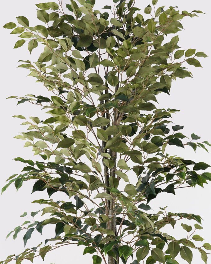 Artificial Tree 70*70*180cm Banyan tree in PP pot/810 lvs GS-13825018 2025JUL YeahFlower is one of Chinese leading OEM manufacturers and exporters , supplying the silk flowers, wholesale artificial trees