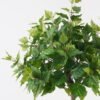 Artificial Tree 42*42*90cm Birch tree  in PP pot/330 lvs GS-13825009 2025JUL YeahFlower is one of Chinese leading OEM manufacturers and exporters , supplying the silk flowers, wholesale artificial trees