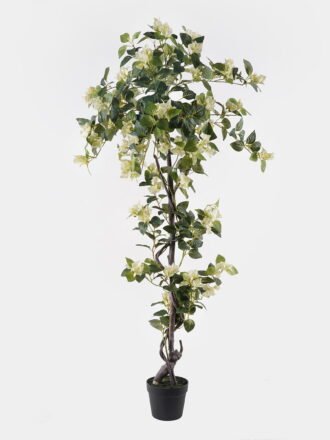 Artificial Tree 77*77*180cm Bougainvillea spp in pp pot GS-46725054 2025JUL 3,000+ sqm showroom with thousands of artificial flowers, plants & trees ready for global sourcing.