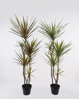 Artificial Tree 55*45*120cm Dracaena *4 in PP pot/138 lvs GS-41925040 2025AUG YeahFlower is one of Chinese leading OEM manufacturers and exporters , supplying the silk flowers, wholesale artificial trees Artificial Tree 55*45*120cm Dracaena *4 in PP pot/138 lvs GS-41925040 2025AUG YeahFlower is one of Chinese leading OEM manufacturers and exporters , supplying the silk flowers, wholesale artificial trees